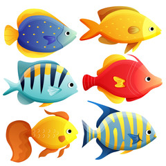 Fototapeta premium ocean fish set