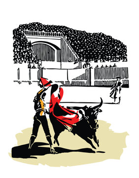 matador in the arena with a bull on a white background
