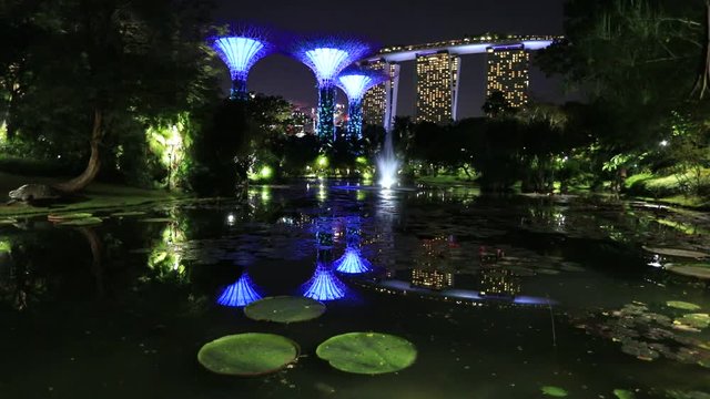Spectacular skyline of Gardens by the Bay with blue and violet lighting and modern skyscraper reflecting in Water Lily Pond by night. Marina bay area in Central Singapore, Southeast Asia.