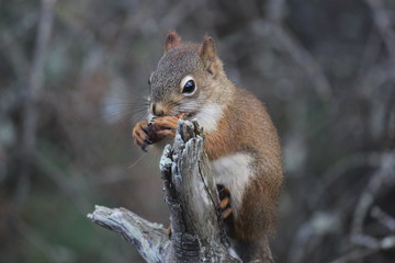 lunch time