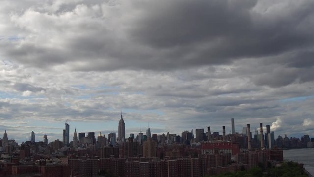 coty scape 