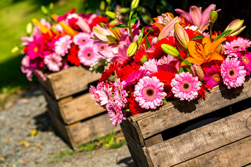 Two wooden flower boxes containing gerberas