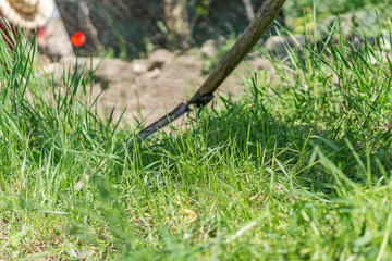 Close-up of hand-sharpening lawn hair. Old hand tool with rusty blade, shallow depth of focus. Concept rustic nostalgia