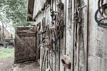 Old stables, on the wall hanging various tools and horse harness, at an angle