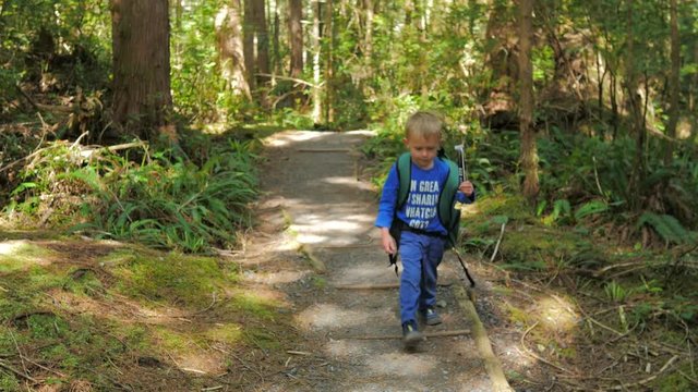 Young boy hiking through the thick forest all alone.