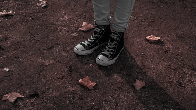 Floor
