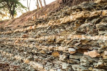 Many layers of shale near old river