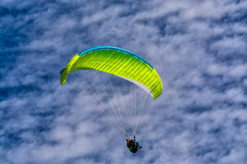 The paraglider