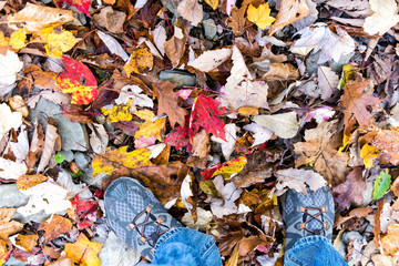 Shoes, fallen autumn brown, orange, red, golden many leaves on ground with man's feet flat lay top view down in Harper's Ferry, West Virginia