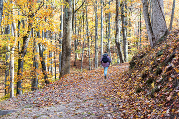 Hiking trail in Harper's Ferry with hiker, young woman in cold coat walking through colorful orange yellow foliage fall autumn forest with many fallen leaves on path in West Virginia