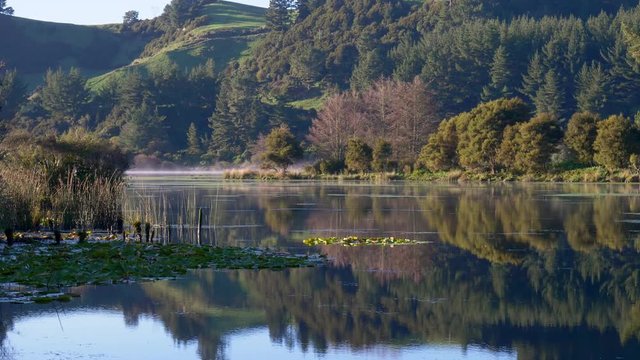 Lake Whakamaru near Tokoroa in New Zealand is a popular lake to fly fish for trout