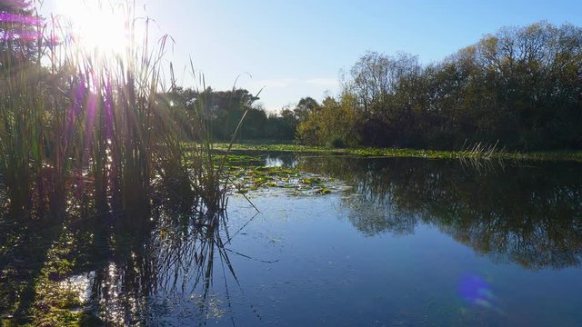 Lake Whakamaru near Tokoroa in New Zealand is a popular lake to fly fish for trout