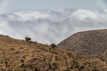 Salalah mountin in Oman