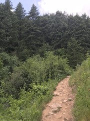 Apex Trail 3