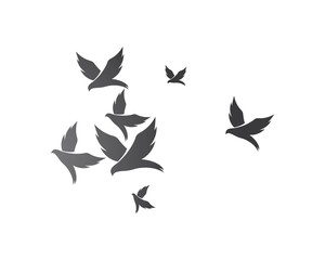 Bird background Template