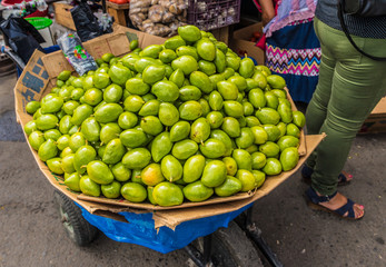 typical san Salvador