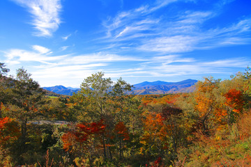 Fototapeta premium 秋の母成グリーンラインからの眺め（福島県・猪苗代町）
