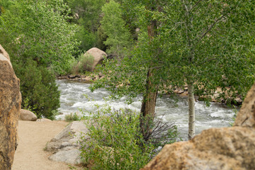 Path along the Arkansas River in Buena Vista, Colorado, USA