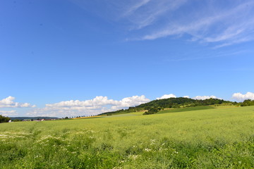 Obraz premium Glauberg im Wetteraukreis in Hessen 