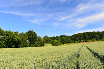 Glauburg im Wetteraukreis in Hessen 