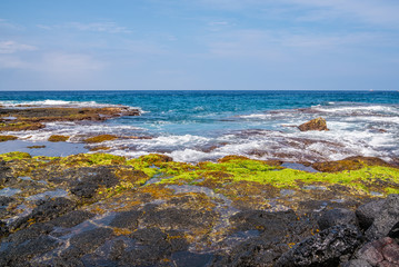 Fototapeta na wymiar Tide pools by the ocean
