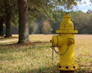 Fototapeta na wymiar Yellow Hydrant