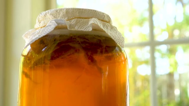 4K Close-up of Kombucha Starter Tea with Scoby in a Jar 
