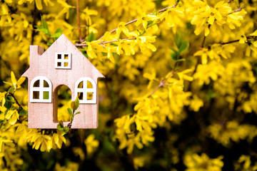 The symbol of the house among the branches of the Forsythia 
