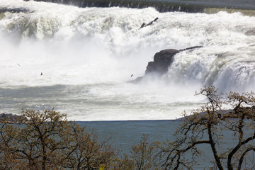 Willamette Falls