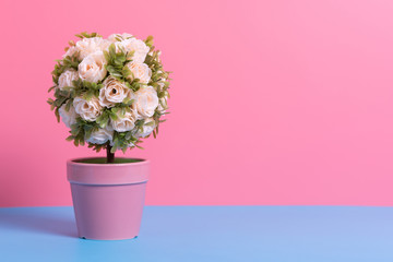 artificial flower pot on blue and pink paper , minimal style background