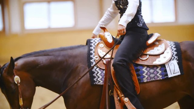 Female person gently riding horse slow motion 4K. Long shot side view of headless elegant cowgirl in focus gently riding western horse. Black and white dress style.
