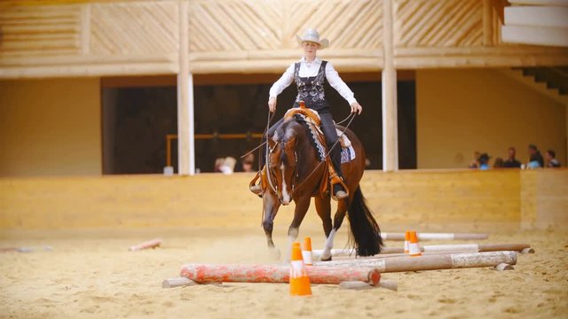 Horse maneuvering around obstacles in arena in slow motion 4K. Wide view of elegant cowgirl in focus riding horse around orange cones over cavalleti on the western riding competition.