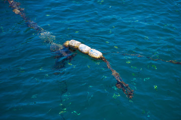 Buoy and rope on surface for boat