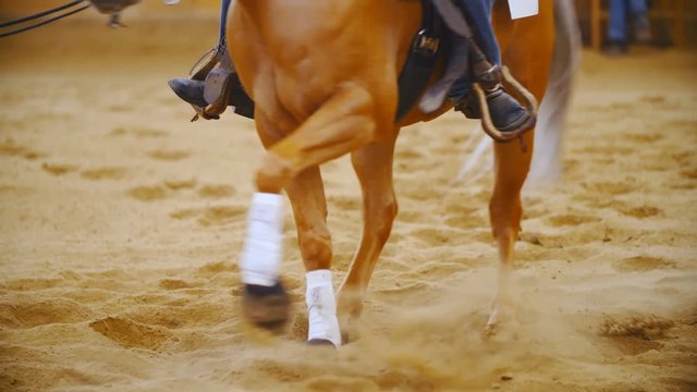 Western horse spin technique in slow motion 4K. Long shot of horse bottom part in focus while spinning in one place at a competition. Inside the riding arena.