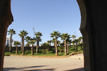 young palm grove, view from the horseshoe-shaped archway, portal to the old Arab city