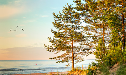 Scenic view on the Riga gulf (Baltic Sea) from the white dune that is near a village of Dubulti, Jurmala, Latvia, Europe