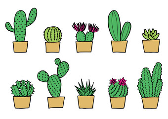 サボテンのイラストセット（カラー）