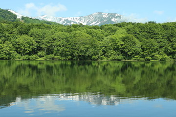 新潟県　糸魚川市　白池からの白馬連山