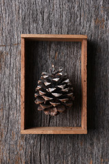 Pine Cone in a wood shadow box