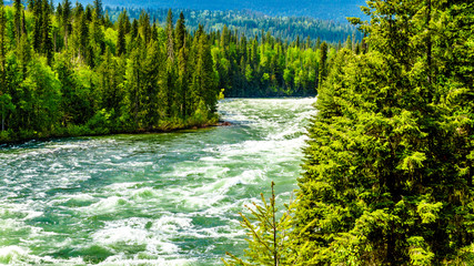 View of the rapids in Bailey's Chute, a narrow section in the swollen Clearwater River, in Wells Gray Provincial Park in the Cariboo Mountains of British Columbia, Canada