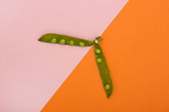 Green pea pod on a colored background