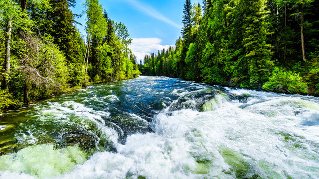 Massive water flow during the spring runoff in the Murtle River, due to melting of the deep snow pack in the Cariboo Mountains of Wells Gray Provincial Park, British Columbia, Canada