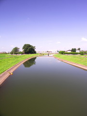 初夏の放水路風景