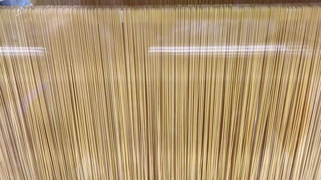 Example of dryer for spaghetti pasta with spaghetti with different colors