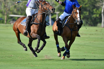 Fighting with horse polo players in polo match.
