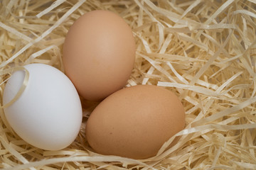 Three chicken eggs lie in a nest of straw, shot close-up