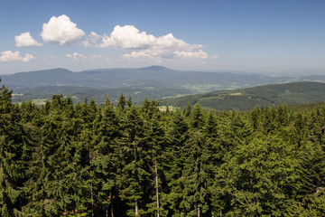 Obraz premium Šumava