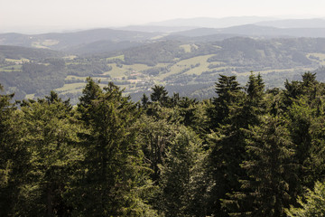 Šumava