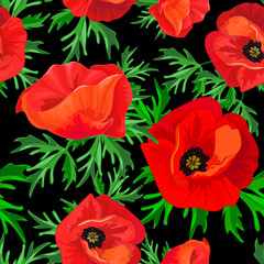 Red poppies and green leaves