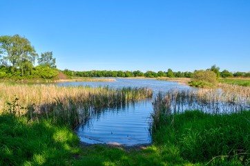 Beautiful rural landscape. Spring day over a beautiful pond.